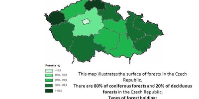 Lasy Czech na mapie